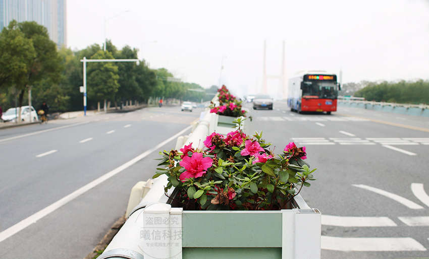 高架橋梁花箱江西南昌案例